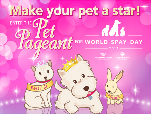 human society pet pageant