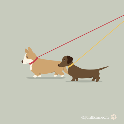 walking dog illustration